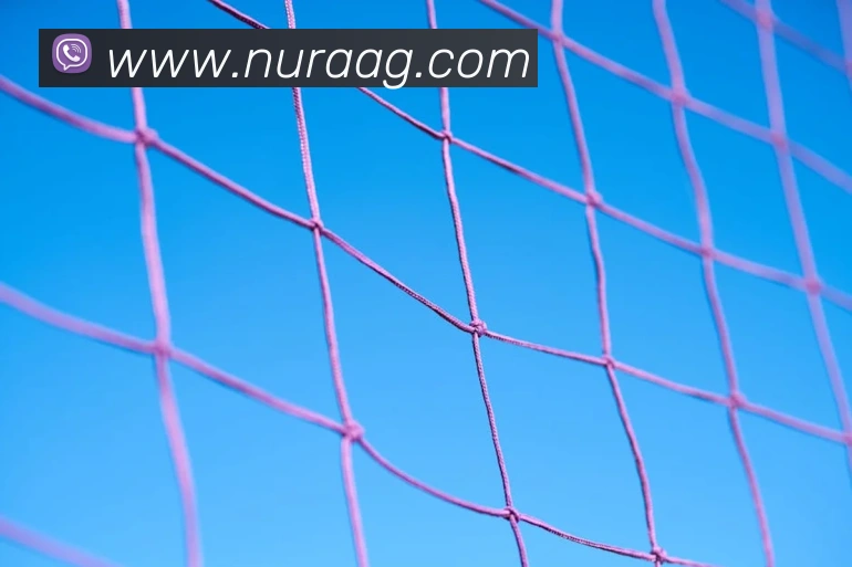 App Interface Preview