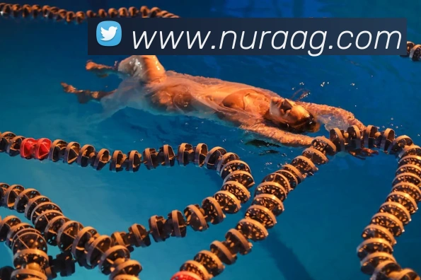 ag官网APP 封面图